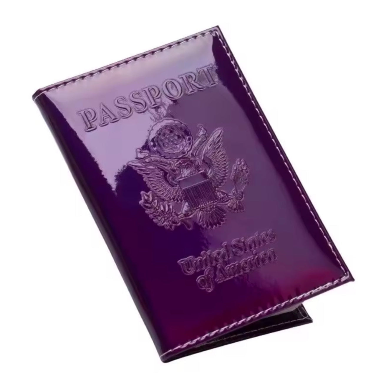 Iridescent Passport Cover