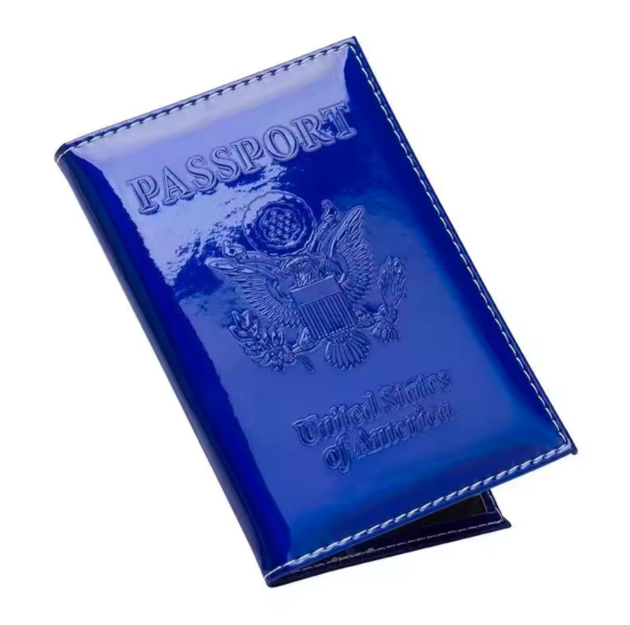 Iridescent Passport Cover